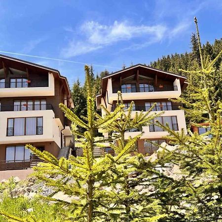 Boutique Villas Murgavets Pamporovo Dış mekan fotoğraf