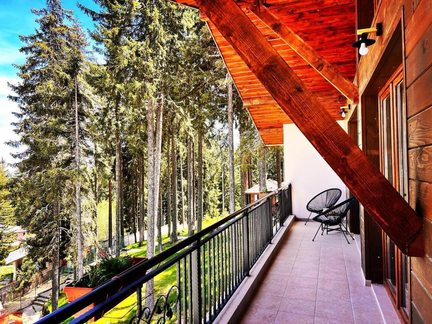 Boutique Villas Murgavets Pamporovo Dış mekan fotoğraf